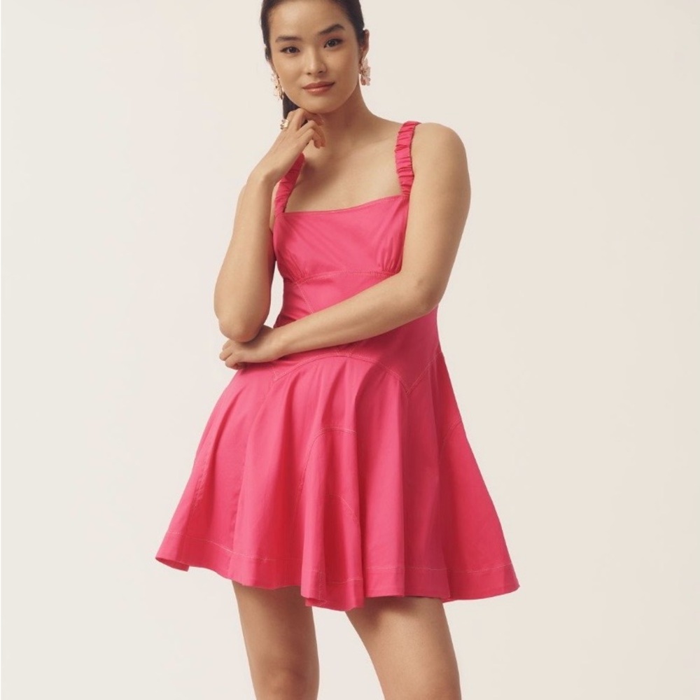 Anthropologie Drop-Waist A-Line Pink Mini Dress Medium NWT - Picture 4 of 12